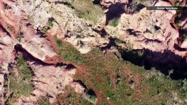 Fossil of Creature that Lived Before the Dinosaurs Unearthed In Brazil