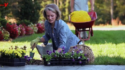 How to Save Money for Retirement