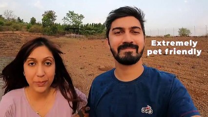 Travelling with dogs? Here are the biggest myths