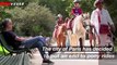 Paris Bans Pony Rides For Children
