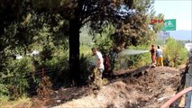 Bucak'ta Kent Ormanında Çıkan Yangın Kontrol Altına Alındı