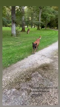 Anthony Delon est de retour à Douchy, dans la propriété de son père Alain Delon. Il promène ainsi son chien Loubo