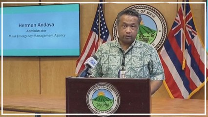 Brände auf Hawaii: Mauis Katastrophenschutzchef tritt zurück