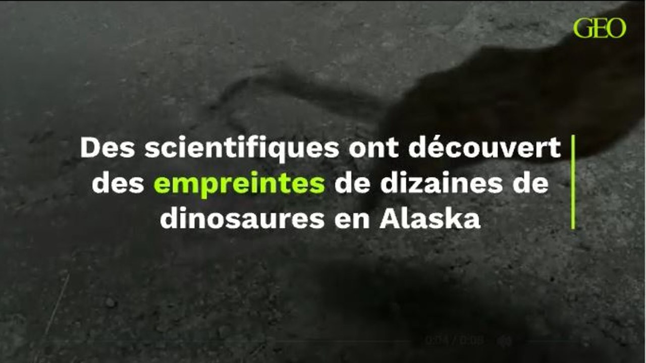 Des scientifiques ont découvert des empreintes laissées par des dizaines de dinosaures en Alaska