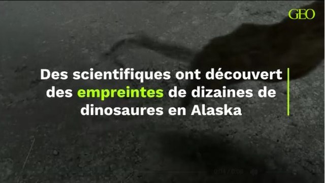 Des scientifiques ont découvert des empreintes laissées par des dizaines de dinosaures en Alaska