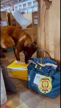 Operação da PCDF coíbe distribuição de cigarros eletrônicos contrabandeados