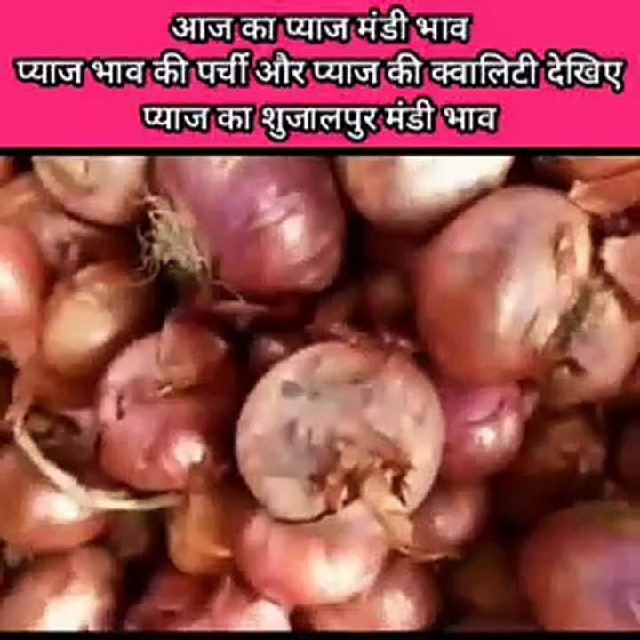 Aaj ka shujalpur Onion mandi rate || शुजालपुर मंडी में प्याज का आज का भाव