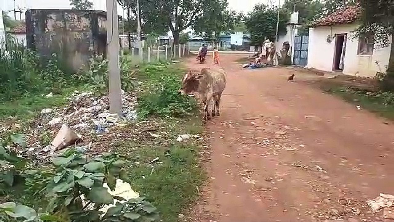 निगम से अच्छा नगर पंचायत था,रोज होती थी सफाई, गंदगी और जर्जर पाइप लाइन से लोग परेशान