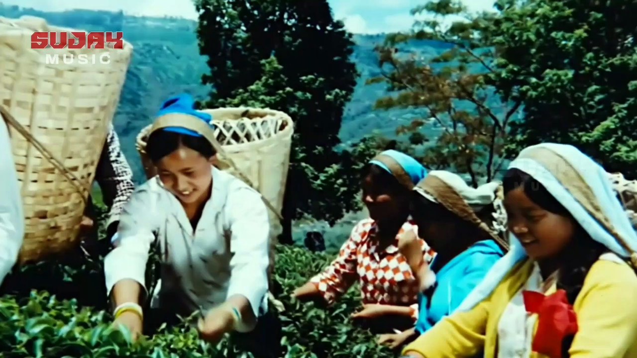ওঠো ওঠো সূর্যাই রে | অনুসন্ধান | Bengali Movie Video Song | Lata Mangeshkar  | Sujay Music