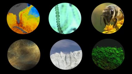 Earth’s Connections