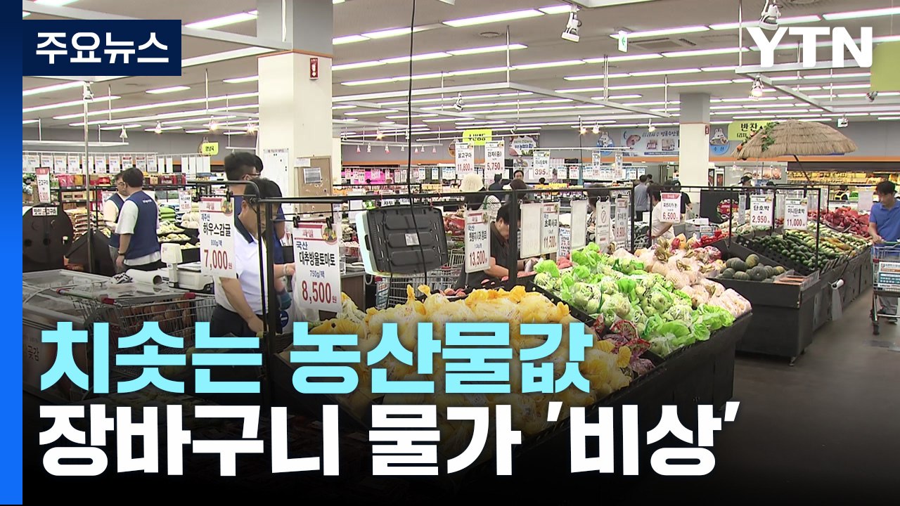 치솟는 농산물값...장바구니 물가 '비상' / YTN