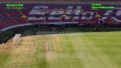 Errores de gestión en la Liga MX