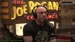 JRE MMA Show #145 With Terence Crawford - The Joe Rogan Experience Video - Episode latest update