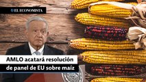 AMLO acatará resolución de panel de EU sobre el maíz
