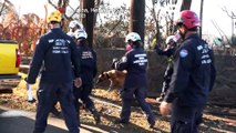 WATCH: the search goes on for victims of the fire on the Hawaiian island of Maui