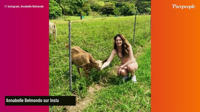 Jean-Paul Belmondo : sa petite fille Annabelle enceinte, photos en bikini à Hawaï, son ventre bien arrondi