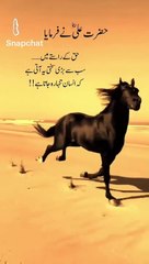 MashaAllha beautiful Islamic video