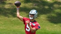 Carolina's Priced High Despite Rookie QB: A Closer Look at the Team's Potential