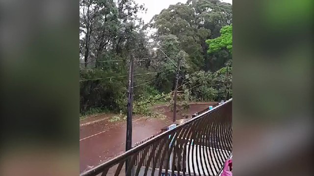 Galhos de árvores caem e atrapalham trânsito no 14 de Novembro