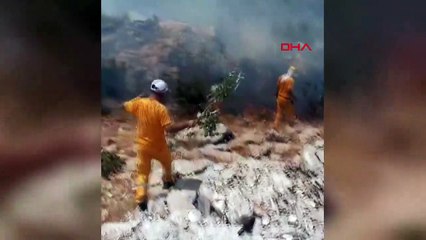 Diyarbakır Hani ilçesinde orman yangını