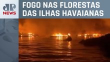 Família passa horas no mar para se salvar de incêndio no Havaí