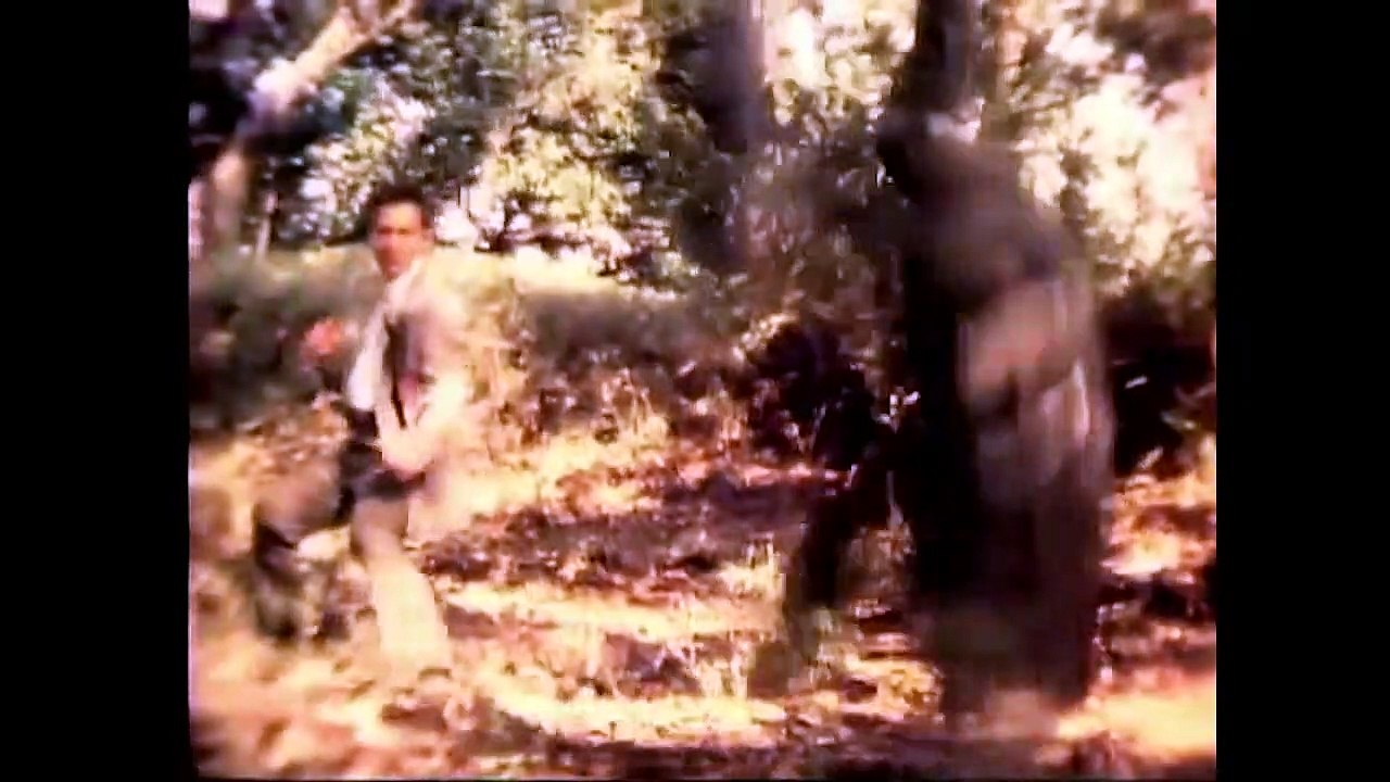 Wild Nights | movie | 2001 | Official Trailer