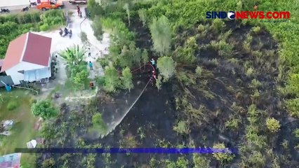 Pelaku Pembakar Lahan 7 Ha di Kotawaringin Timur Terancam Hukuman 15 Tahun Penjara