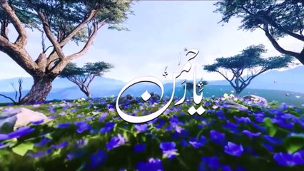 Ya Allah ﷻ Ya Rehman ﷻ