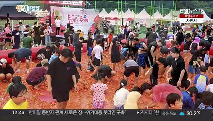 [생생갤러리] 토마토가 머리 위로 '휙휙'…청백전의 승자는? 外