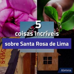 23 de Agosto – Festa de Santa Rosa de Lima