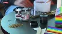 L'Allemagne en route vers la légalisation du cannabis à des fins récréatives: En conseil des ministres, un projet de loi encadrant achat et culture de cette plante psychoactive a été adopté - VIDEO