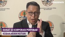 KLHK Gugat 22 Korporasi Penyebab Kebakaran Hutan, Nilai Putusan Capai Rp5,6 T