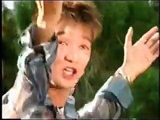 Thành Phố Xuân Hồng - Đàm Vĩnh Hưng