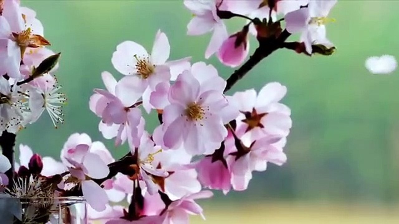 Pure Spiritual Flute Symphony I Must Listen ! I GET POWERFUL SPIRITUAL CONNECT !