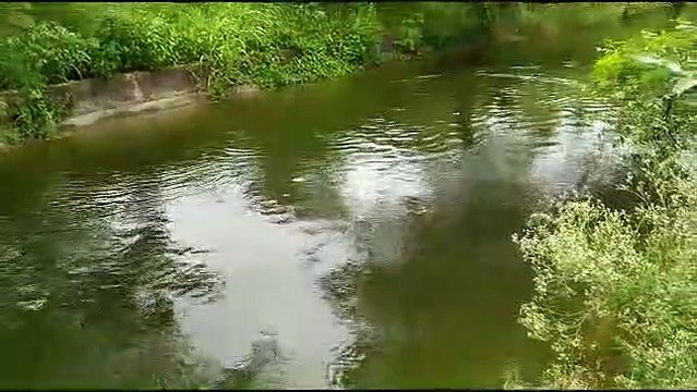 राजस्थान के इस शहर में घरों की नींव एवं जमीन से निकल रहा पानी... पढ़ें पूरी खबर