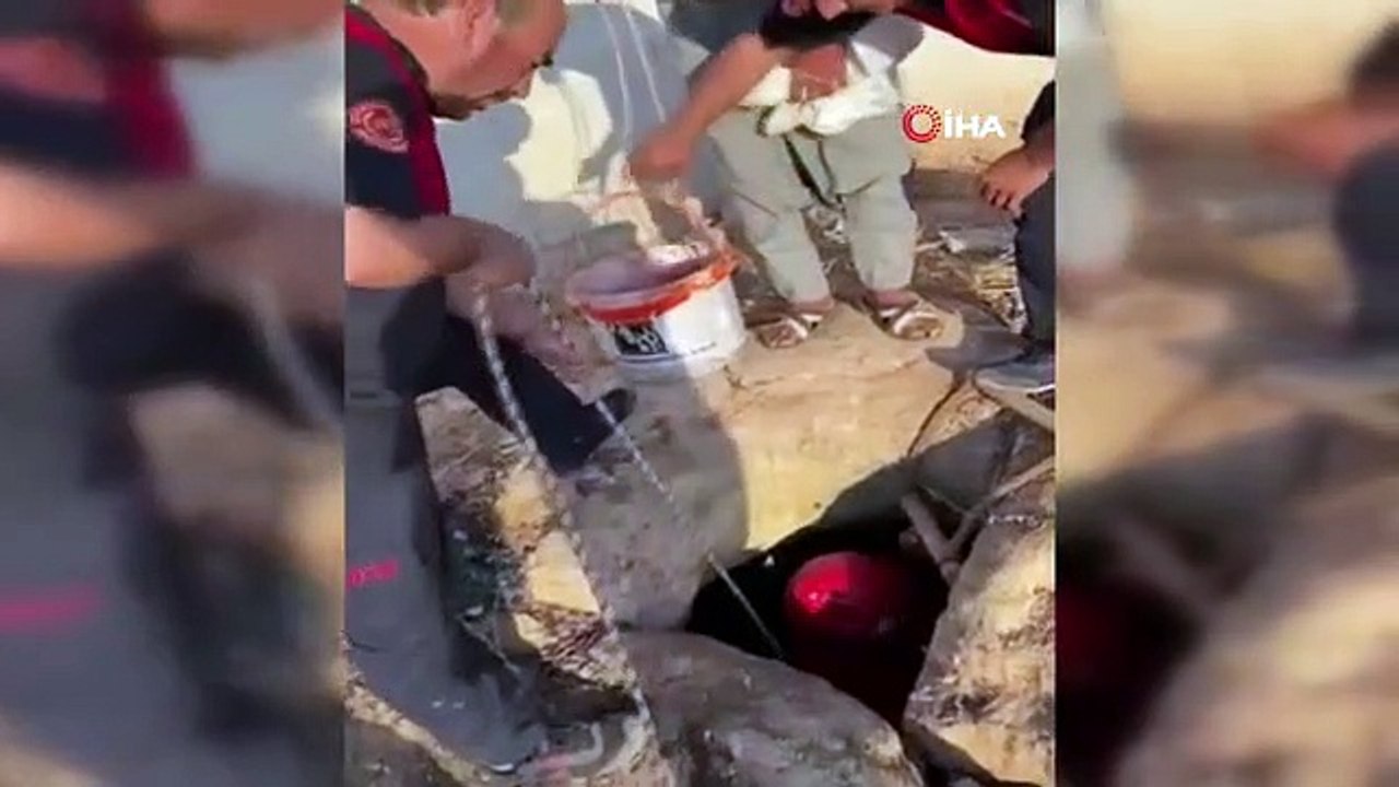 Un chaton tombant dans un puits à Şanlıurfa sauvé par les pompiers