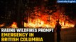 Canada Wildfires: British Columbia declares emergency due to raging and spreading wildfires