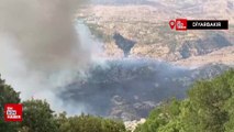 Diyarbakır'daki orman yangını 24 saatte söndürüldü