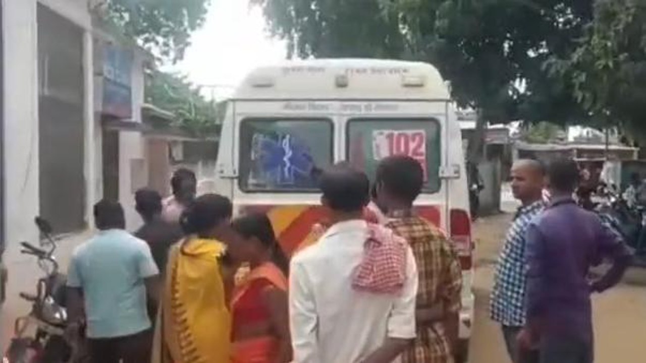 जमुई: खाना निकालने गई बच्ची को कोबरा सांप ने डंसा, इलाज के दौरान मौत, पसरा मातम