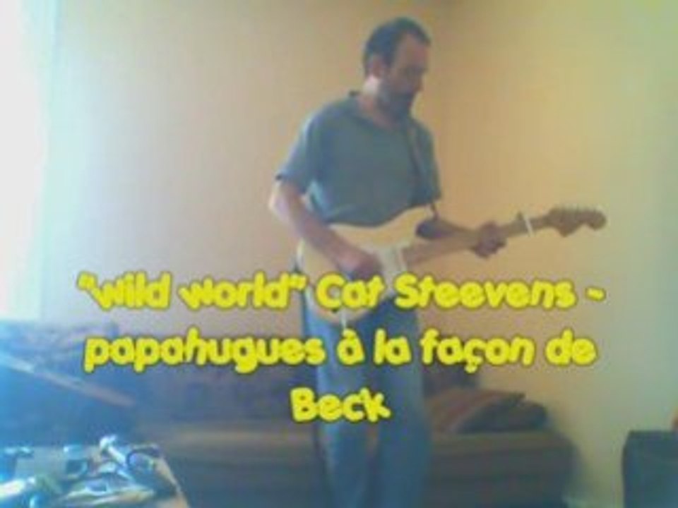 "Wild world" Cat Stevens - Papahugues