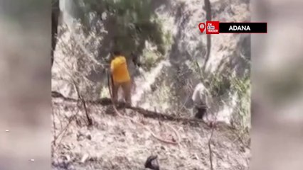 Adana'da orman yangını söndürüldü