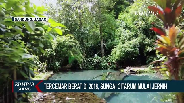 Pernah Tercemar Berat di Tahun 2018, Sungai Citarum Mulai Jernih