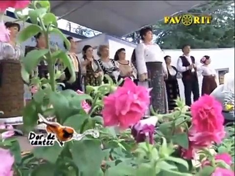 Elena Soare - Cate rabda un parinte & Sunt fata din Prahova (Zilele orasului Voluntari - 08.06.2013)