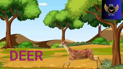 WILD ANIMAL NAME | WILD ANIMAL NAME FOR KIDS