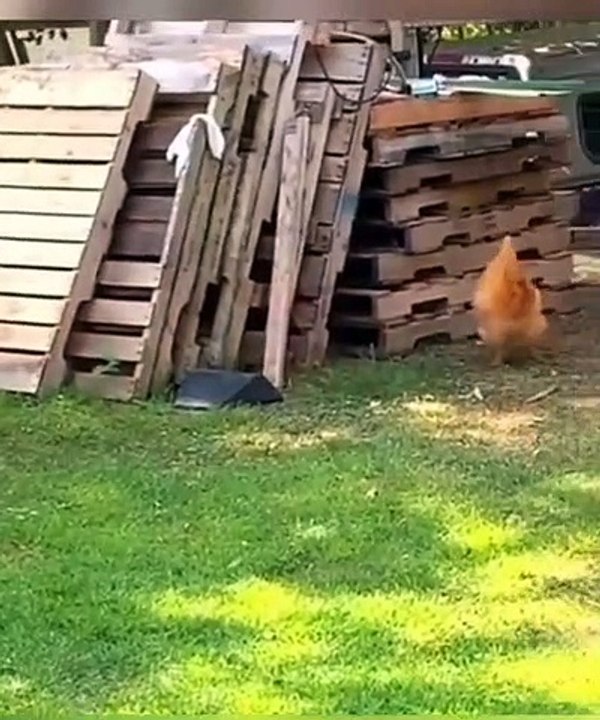 Funny