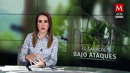 Desde mayo La Familia Michoacána busca expandir territorios con ataques y drones