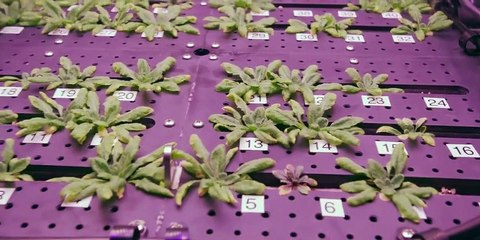 First 8K Video from Space - Ultra HD