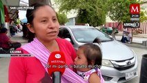 Decenas de familias sufren el desbasto de vacunas en San Luis Potosí