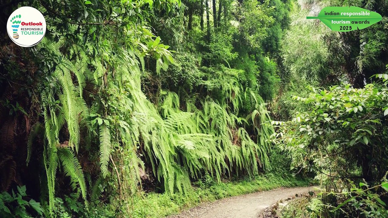 Silver | Darjeeling Walks