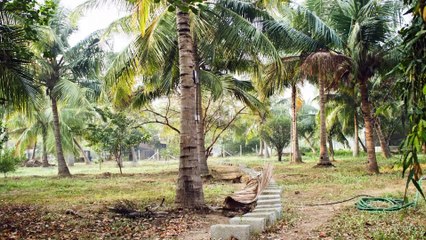 Silver Jacob & Klooster Farms, Chennai